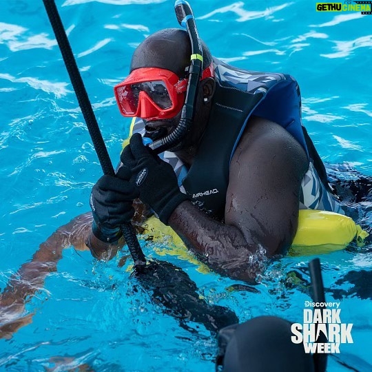 Johnny Knoxville Instagram - Tonight at 9pm Darkshark week starts on @discovery!! Tarzan and Jacques Cousteau ain’t got shit on @blaccapone23. He is the o.g. shark whisperer. 🦈 #darksharkweek