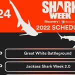 Johnny Knoxville Instagram - Had a ball and that ain’t all filming with @jackass guys for @sharkweek. Our episode airs July 24th at 9pm on @discovery. Wahoo!