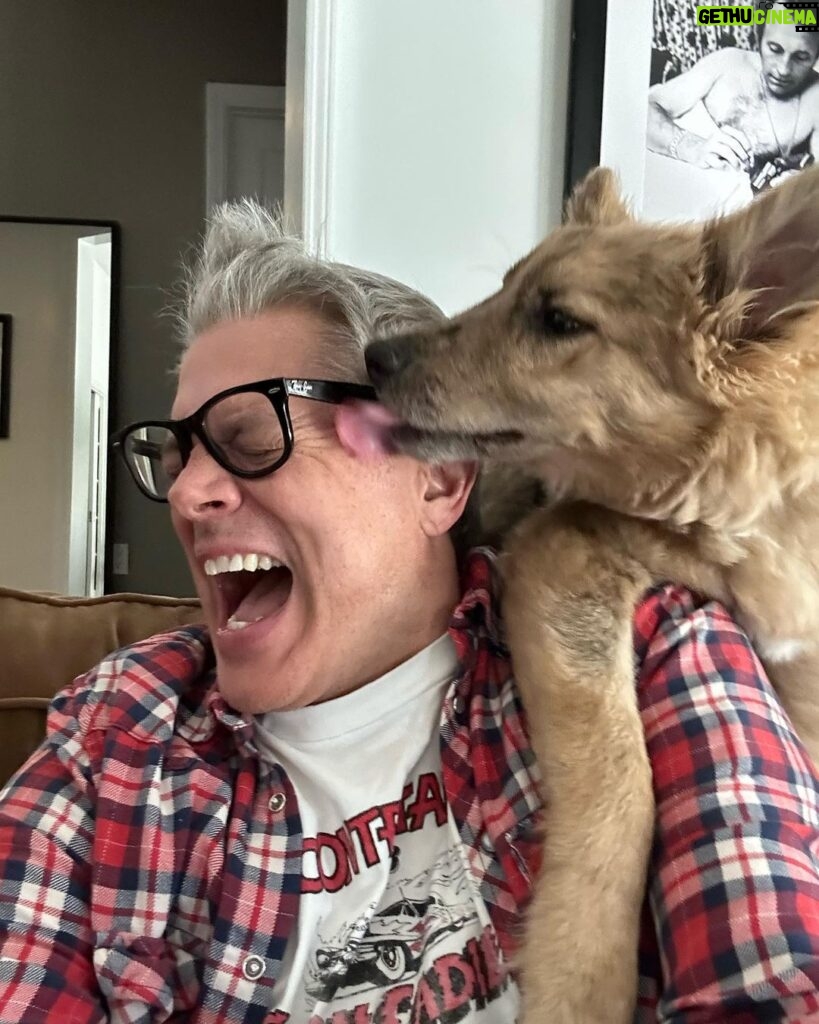 Johnny Knoxville Instagram - Bucket is out of control. Her new thing is to sit on the back of the couch like a cat and completely maul us with kisses. How did we end up with such a nut for a dog?