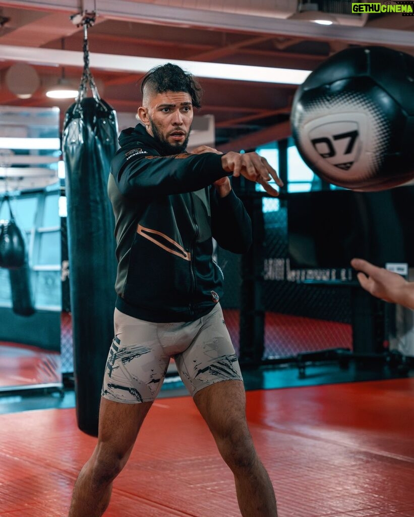 Johnny Walker Instagram - A Strength & Conditioning routine has been a huge part of my camps leading up to a fight. @ufc @celtic_warrior_gym_ @sbgireland @paradigmsports @platincasino.br @monsterenergy @coach_kavanagh @abspowerlifting @motionmasters #ufc #sbg #sbgireland #ufc #mma #bjj #fight #fighter #Irish #ufcireland #mmafighter #newyork #octagon #johnnywalker #johnnywalkerufc #mixedmartialarts