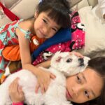 Jolina Magdangal Instagram – Pele is kow 10 years old!! So much blessings to celebrate, for Pele’s birthdday and papa’s successful concert last night!

But for our family, nung pinanganak palang si Pele, everyday ay blessing na.☺️ 

We love you sooo much anak. Happy happy birthday!!!! TENager ka na!🥹

#PeleSerye #birthday
