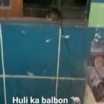 Jolina Magdangal Instagram - Kaya nyo ba manghuli ng ganito?😱😱😱