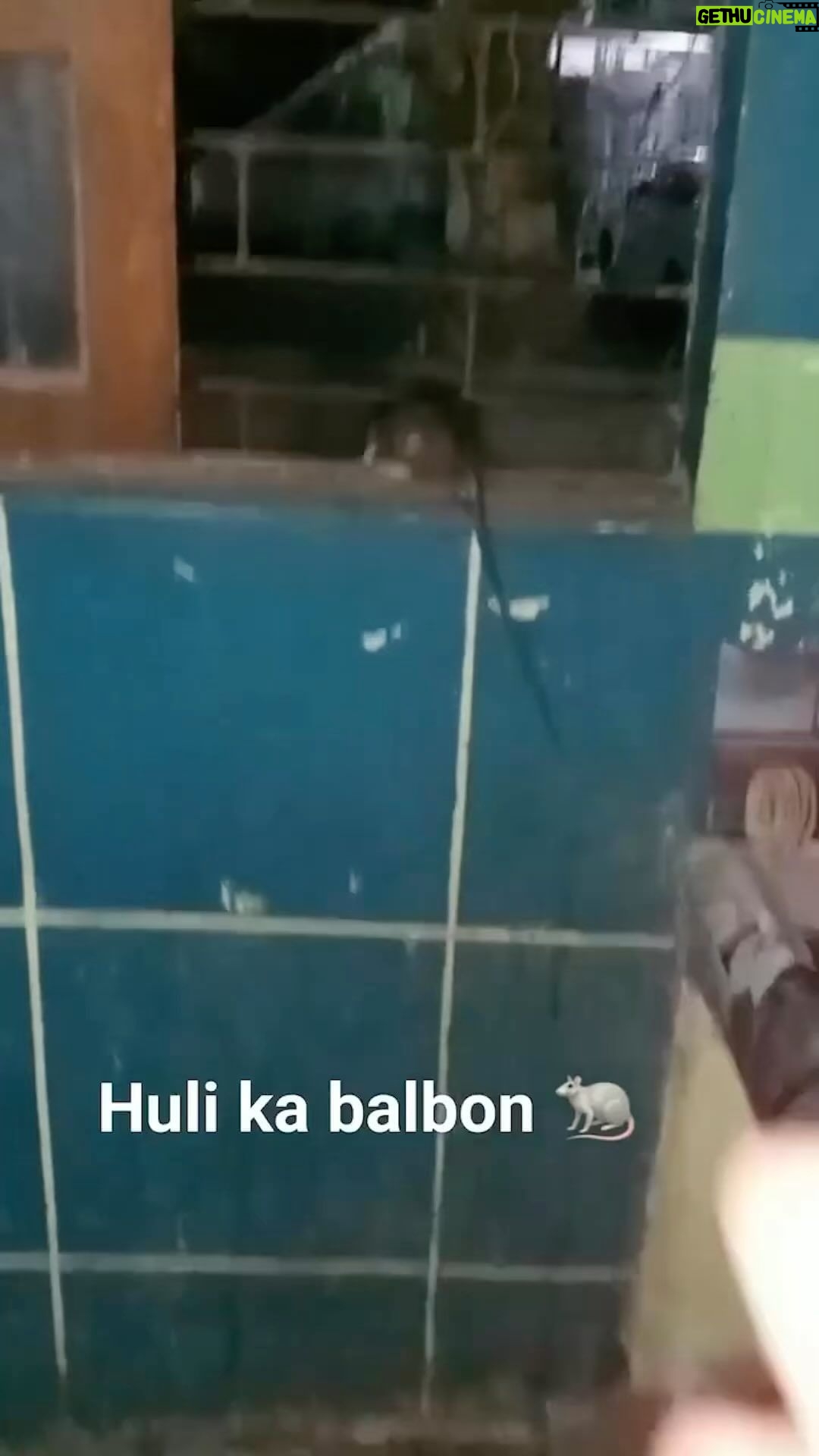 Jolina Magdangal Instagram - Kaya nyo ba manghuli ng ganito?😱😱😱