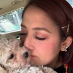 Jolina Magdangal Instagram - Last thursday… i almost had this furbaby… Almost…😢 Thank you sooo much for your kindness @jcdogrepublic Para sa mga gusto ng magagandang furbabies, you can trust this seller! Congrats @jcdogrepublic sa pagbukas mo ng bagong branch sa taguig.😊