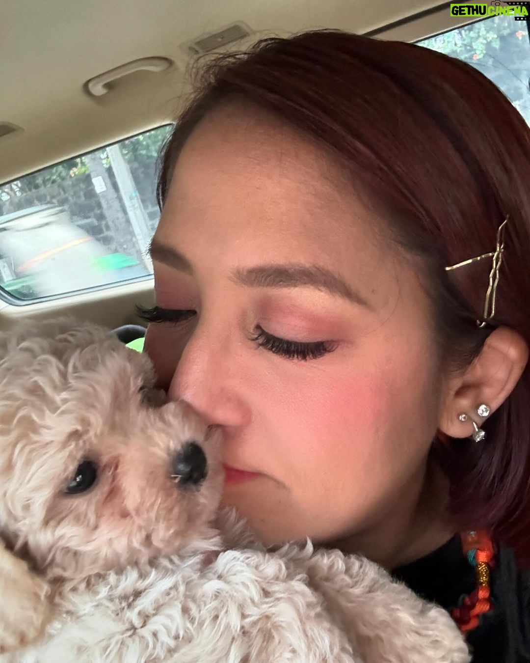 Jolina Magdangal Instagram - Last thursday… i almost had this furbaby… Almost…😢 Thank you sooo much for your kindness @jcdogrepublic Para sa mga gusto ng magagandang furbabies, you can trust this seller! Congrats @jcdogrepublic sa pagbukas mo ng bagong branch sa taguig.😊