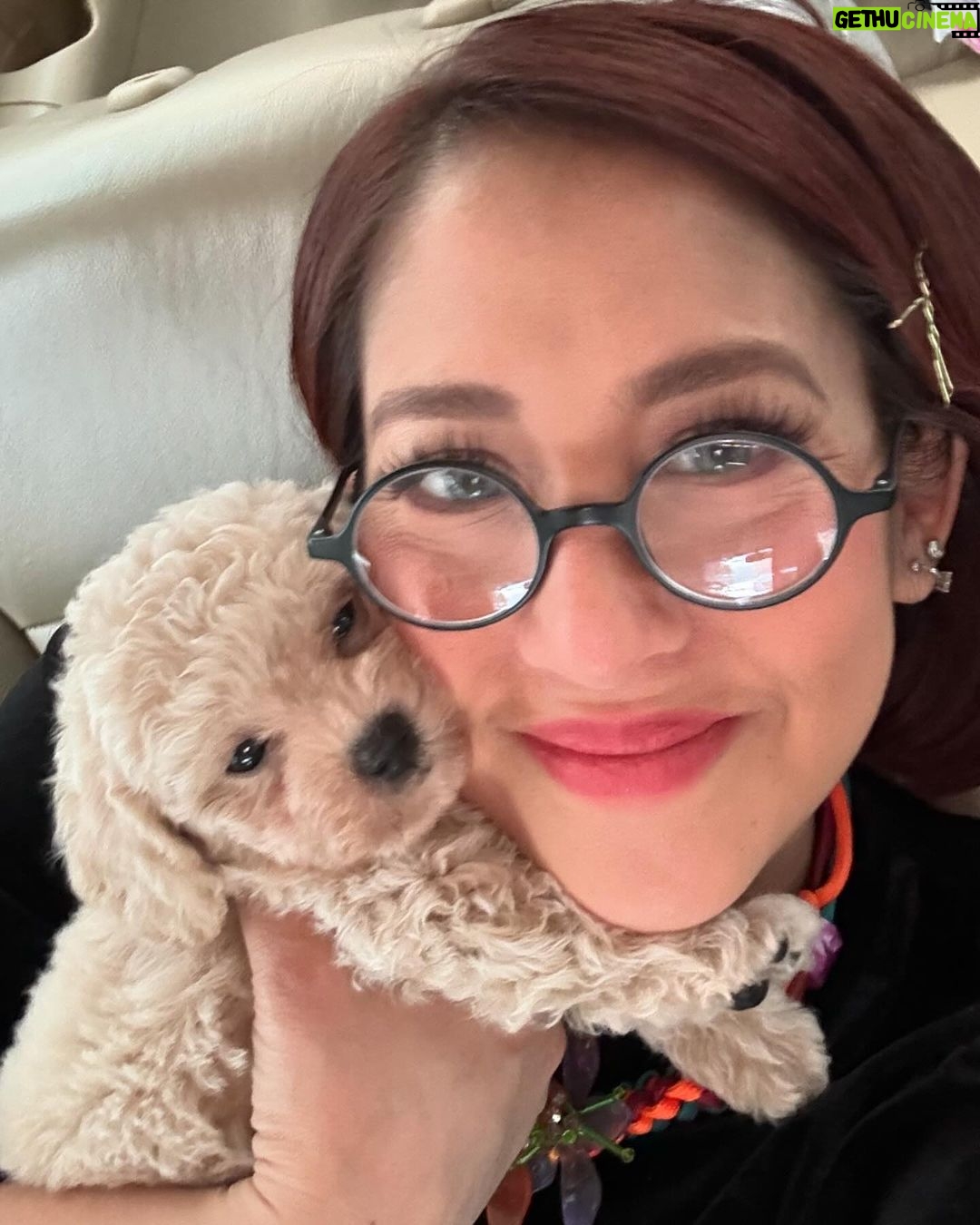 Jolina Magdangal Instagram - Last thursday… i almost had this furbaby… Almost…😢 Thank you sooo much for your kindness @jcdogrepublic Para sa mga gusto ng magagandang furbabies, you can trust this seller! Congrats @jcdogrepublic sa pagbukas mo ng bagong branch sa taguig.😊