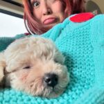 Jolina Magdangal Instagram - Last thursday… i almost had this furbaby… Almost…😢 Thank you sooo much for your kindness @jcdogrepublic Para sa mga gusto ng magagandang furbabies, you can trust this seller! Congrats @jcdogrepublic sa pagbukas mo ng bagong branch sa taguig.😊