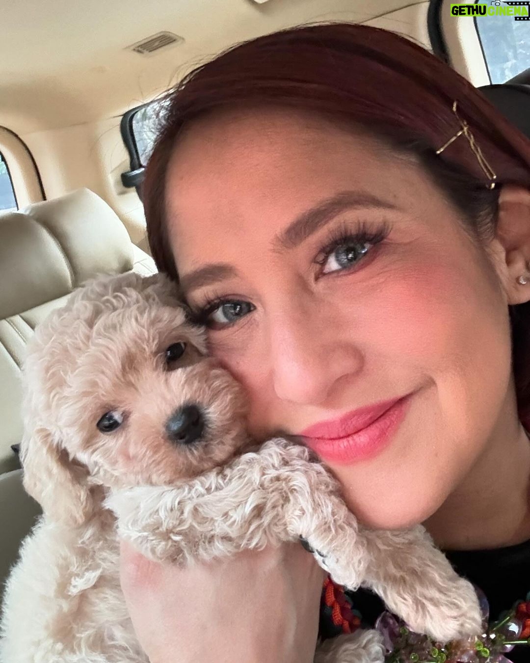Jolina Magdangal Instagram - Last thursday… i almost had this furbaby… Almost…😢 Thank you sooo much for your kindness @jcdogrepublic Para sa mga gusto ng magagandang furbabies, you can trust this seller! Congrats @jcdogrepublic sa pagbukas mo ng bagong branch sa taguig.😊