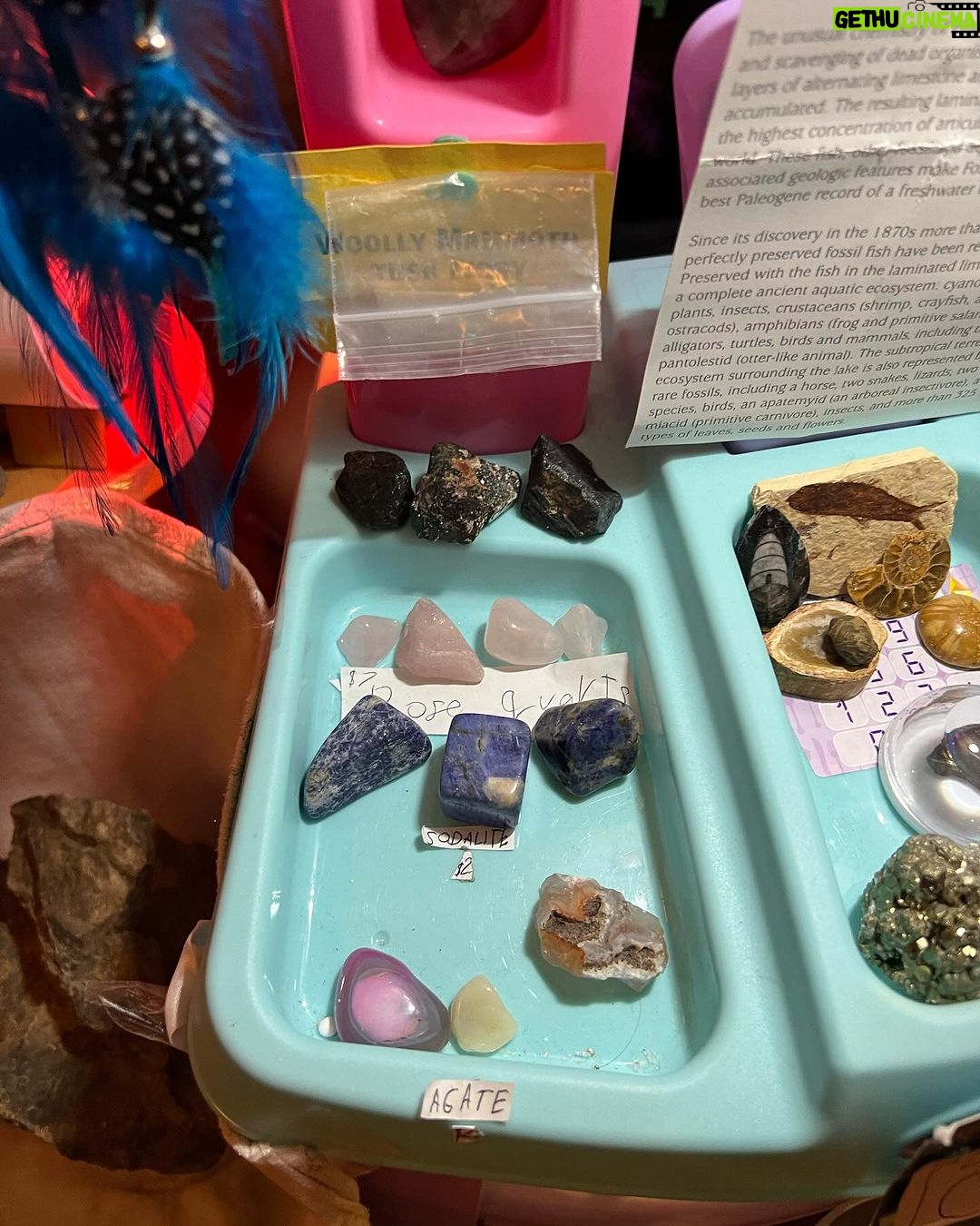 Jolina Magdangal Instagram - Baka may ma-suggest kayo… Itong first 2 pictures ni Pele ay nung nasa Banff downtown kami.. may store dun crystals/gems/stones/rocks. Kulang nalang yata dun na sya matulog at ok daw sa kanya mag work dun!🤣 Natatawa ako pero deep in my heart, naa-amaze ako sa kanya. Ang dami nyang alam tungkol jan. At madami na din syang collection pero marami pa syang naituturo sa amin araw araw. Dahil sobra syang nainspire sa store na napuntahan nya sa Banff, gumawa sya ng sarili nyang store…. sa kwarto namin. GANDA NG STORE NYA!!!!! Eto na.. gusto ko sana dalhin sya sa exhibit or expo or mga stores ng mga ganyan. Or baka may makabasa nito na nangangailangan ng taga organize ng crystals/gems/stones/rocks atbp.. baka pwede nyo ipa experience kay Pele. (Pag nangyari yun, sasabog sa pagkaproud ang nanay heart ko). 1,2,3 Go! Suggest na.👍🏼 #crystals #gems #stones #rocks #geode #inspiration