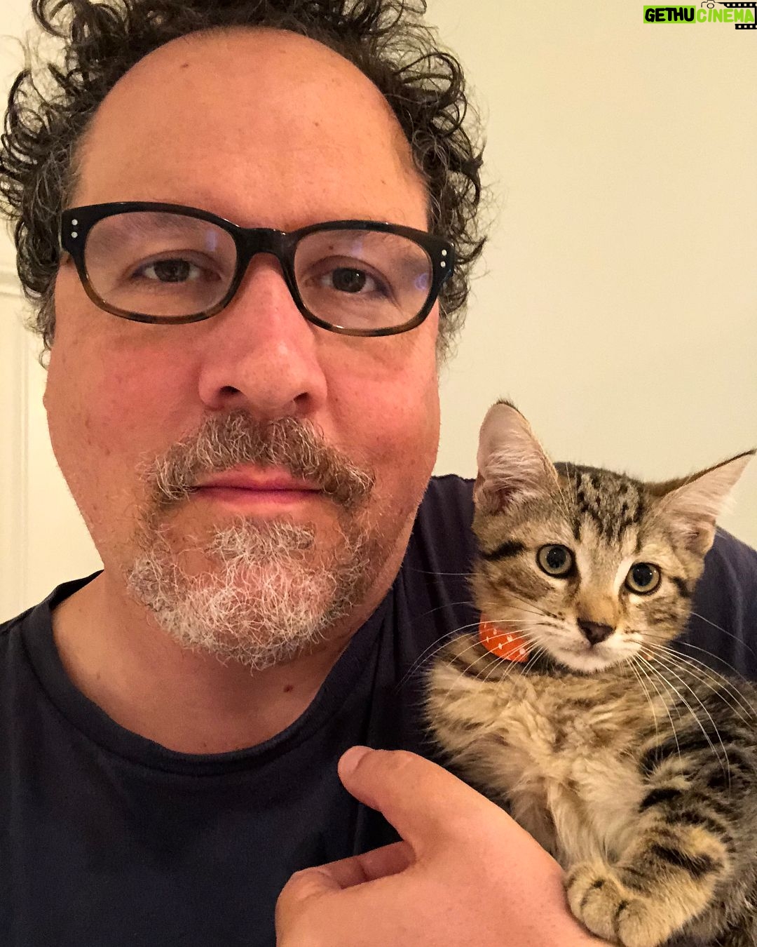 Jon Favreau - 66.4K Likes - Just adopted a new little pal. @bestfriendsanimalsociety