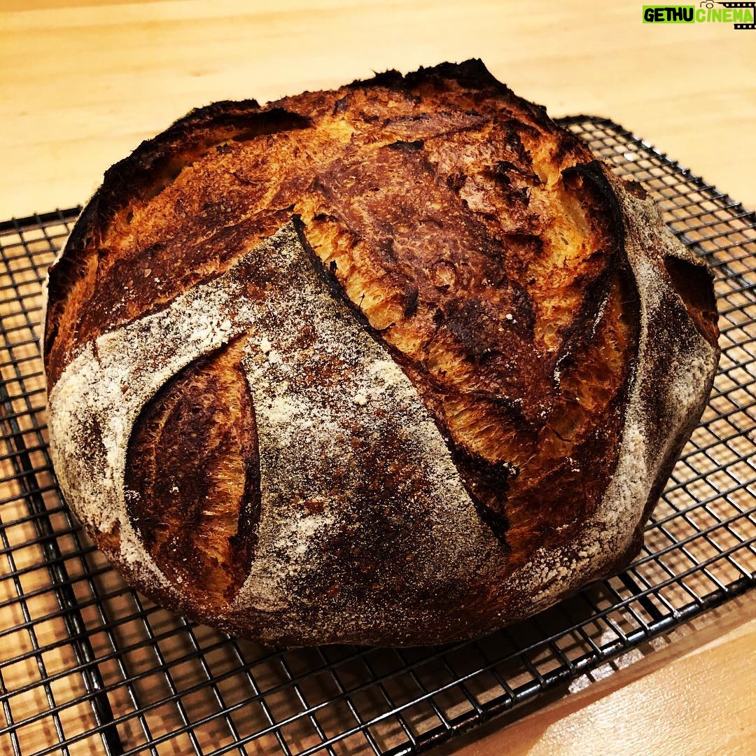 Jon Favreau Instagram - Revived sourdough starter for 2018. First bake.