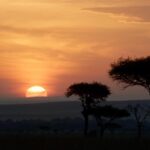 Jon Favreau Instagram - This is the only real shot in #TheLionKing. There are 1490 rendered shots created by animators and CG artists. I slipped in one single shot that we actually photographed in Africa to see if anyone would notice. It is the first shot of the movie that begins The Circle of Life.