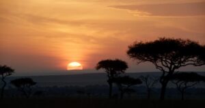 Jon Favreau Instagram - This is the only real shot in #TheLionKing. There are 1490 rendered shots created by animators and CG artists. I slipped in one single shot that we actually photographed in Africa to see if anyone would notice. It is the first shot of the movie that begins The Circle of Life.