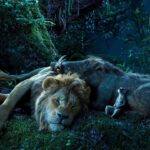 Jon Favreau Instagram - #hakunamatata