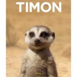 Jon Favreau Instagram - New character posters from #TheLionKing 🦁 👑