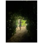 Jonathan Bailey Instagram - RETREAT. 🤩 JOALI BEING