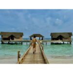 Jonathan Bailey Instagram - 🦀 🩵 @joalimaldives JOALI Maldives