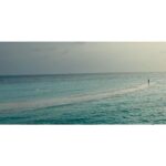 Jonathan Bailey Instagram - 🦀 🩵 @joalimaldives JOALI Maldives