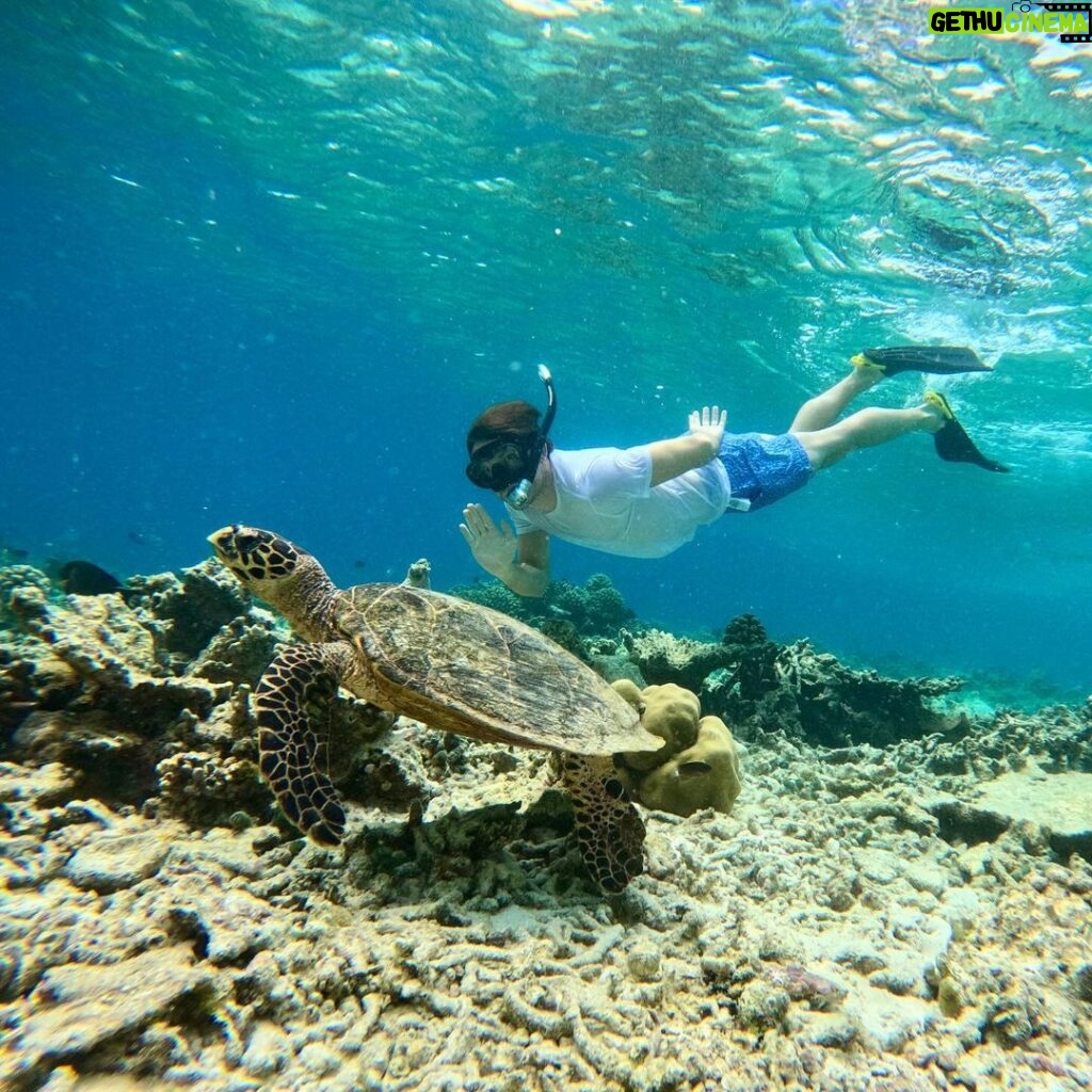 Jonathan Bailey Instagram - Replanting coral in the Indian Ocean. With hero Shameem. SUPREME. More 🪸= more 🐠 + 🐢 + 🐡+ 🦈 + 🥰 💙 @joalimaldives JOALI Maldives