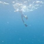 Jonathan Bailey Instagram - Replanting coral in the Indian Ocean. With hero Shameem. SUPREME. More 🪸= more 🐠 + 🐢 + 🐡+ 🦈 + 🥰 💙 @joalimaldives JOALI Maldives