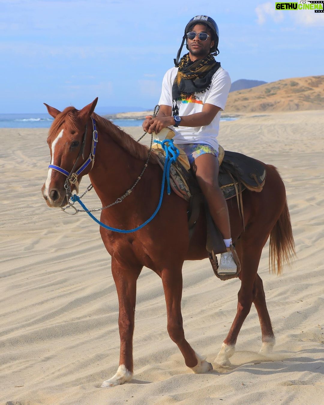 Jonathan Daviss Instagram - Cabo dump 1 of ? 🐴🇲🇽 Cabo San Lucas, Mexico