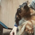 Jonghyun Instagram – 헐 짱 못생김