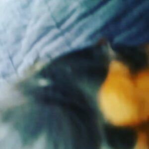 Jonghyun Instagram - ㅋㅋㅋㅋ엄마놀리는거 넘재미쪙
헤헤 장난친거지 입양 계획없답니당~