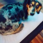 Jonghyun Instagram - 뭐?!5분뒤 라이브시작이라고!? 뭐?! 오늘 주제는 명절덕담이라고!?