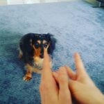 Jonghyun Instagram – 똑똑루
