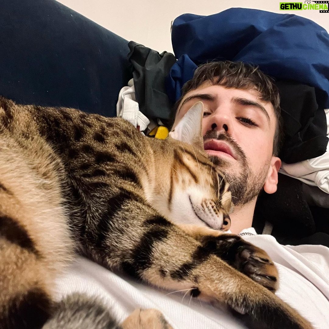 Jordan Rondelli Instagram - Random Nevada ❤️🐱