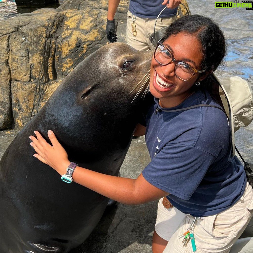 Jordana Brewster Instagram - We are proud to announce Daran Towns as the 2023 Paul Walker Foundation Award and Scholarship recipient. This scholarship recognizes her hard work and exceptional dedication to our mission of doing good. As a volunteer at the Monterey Bay Aquarium and the Aquarium of the Pacific, Daran has contributed to her community by supporting marine life and educating her friends and family about the importance of ocean conservation. 💙 "Growing up in the valley made me realize that there are so many people out there with no ocean education and I want to help bridge the gap, starting with my own community! I can’t wait to further the foundation's mission of education and doing good in the world. I am so blessed, honored, and overjoyed to receive the 2023 Paul Walker Foundation Award and Scholarship." – Daran Towns, 2023 Paul Walker Foundation Award and Scholarship Recipient Visit paulwalkerfoundation.org to learn more. #dogood #scholarshipsthatdogood #paulwalkerfoundation