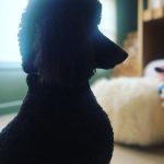 Jordana Brewster Instagram -