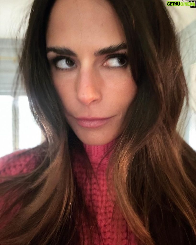 Jordana Brewster Instagram - 1- cozy sweater 2-water cooler accident ouch 3- joaninha 🐞 4- deep thoughts @gmmorfit 5- my girl 🐩