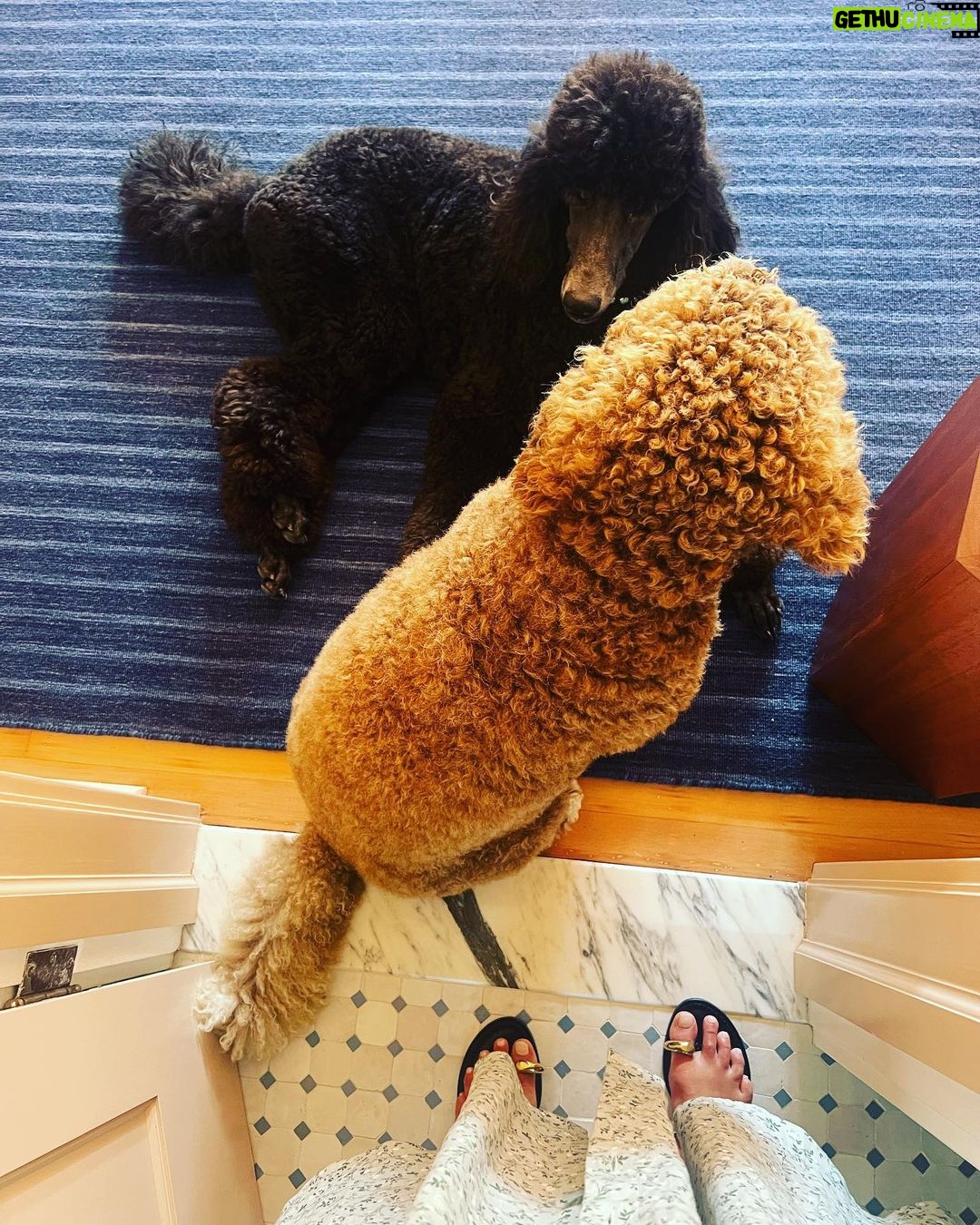 Jordana Brewster Instagram - Pecking order
