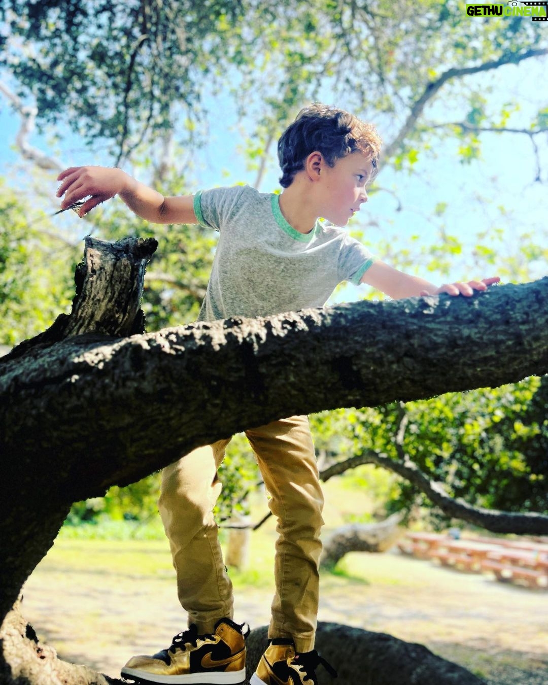 Jordana Brewster Instagram - Surfing a branch