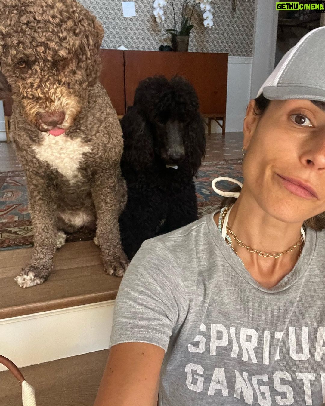 Jordana Brewster - 74.5K Likes -