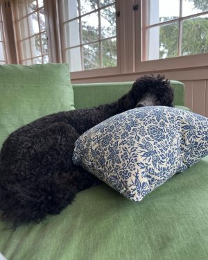 Jordana Brewster Instagram - 1-blocked by endi 
2- chapter a day 
3- zeladita
4- movie time