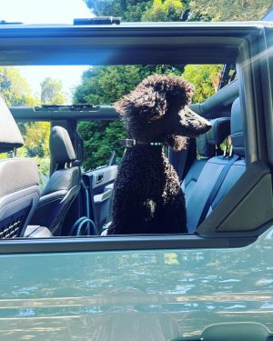 Jordana Brewster Instagram - 