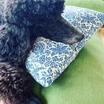Jordana Brewster Instagram - Bits n bobs