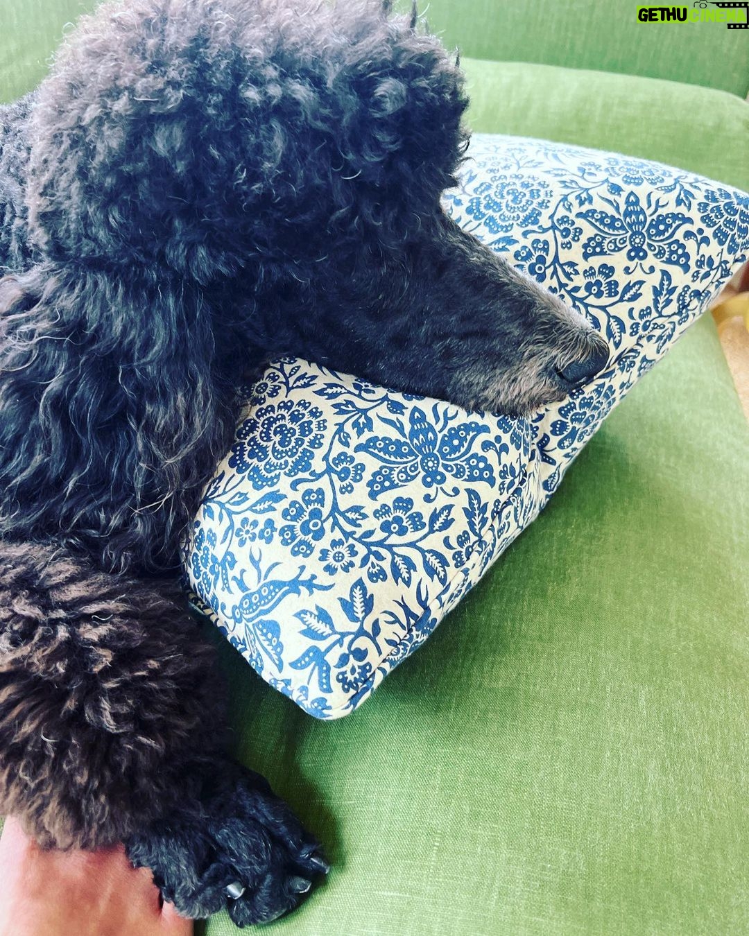 Jordana Brewster Instagram - Bits n bobs