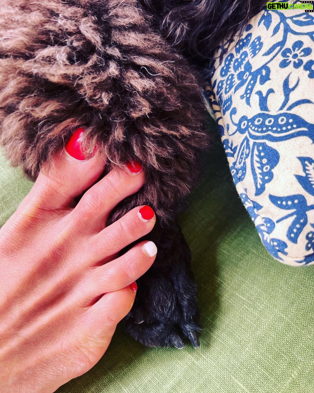 Jordana Brewster Instagram - Bits n bobs