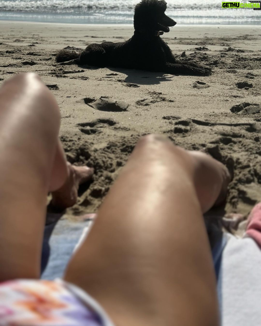 Jordana Brewster - 76.4K Likes -
