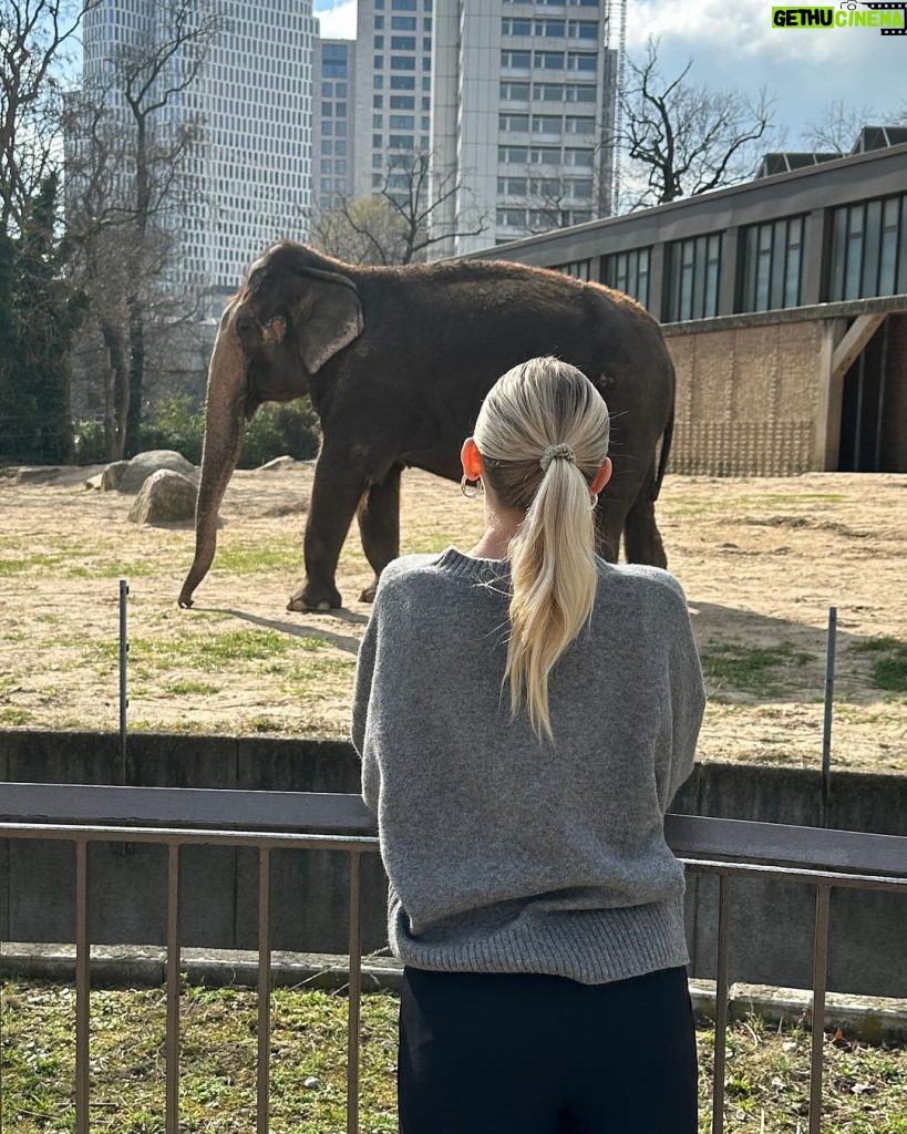 Jordyn Jones Instagram - *spends my only day in Berlin at the zoo* 🐼🐼🐼 Berlin, Germany