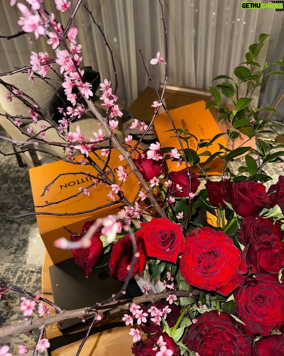 Jordyn Woods Instagram - best day with the best valentine ❤️ thank you for always making me feel special @karltowns