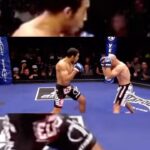 José Aldo Instagram – José Aldo vs Manvel Gamburyan (defense WEC, 30 de Setembro de 2010) 😎

#tbt #josealdo #wec