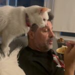 José María Listorti Instagram - Parece que Duquesa es dulcera como yo!! #gatos #cat #humor