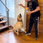 José María Listorti Instagram - Dentastix es el snack favorito de Martínez, es recomendable darle 1 por día. No solo ayuda a reducir el sarro hasta un 80%, sino que también mantiene sus encías saludables. Nosotros los cuidamos y ellos disfrutan! Súmate a este Challenge arrobando a @pedigreear y fijate si tu perro aguanta la tentación! #AlimentáloBueno #ChallengeDentastix