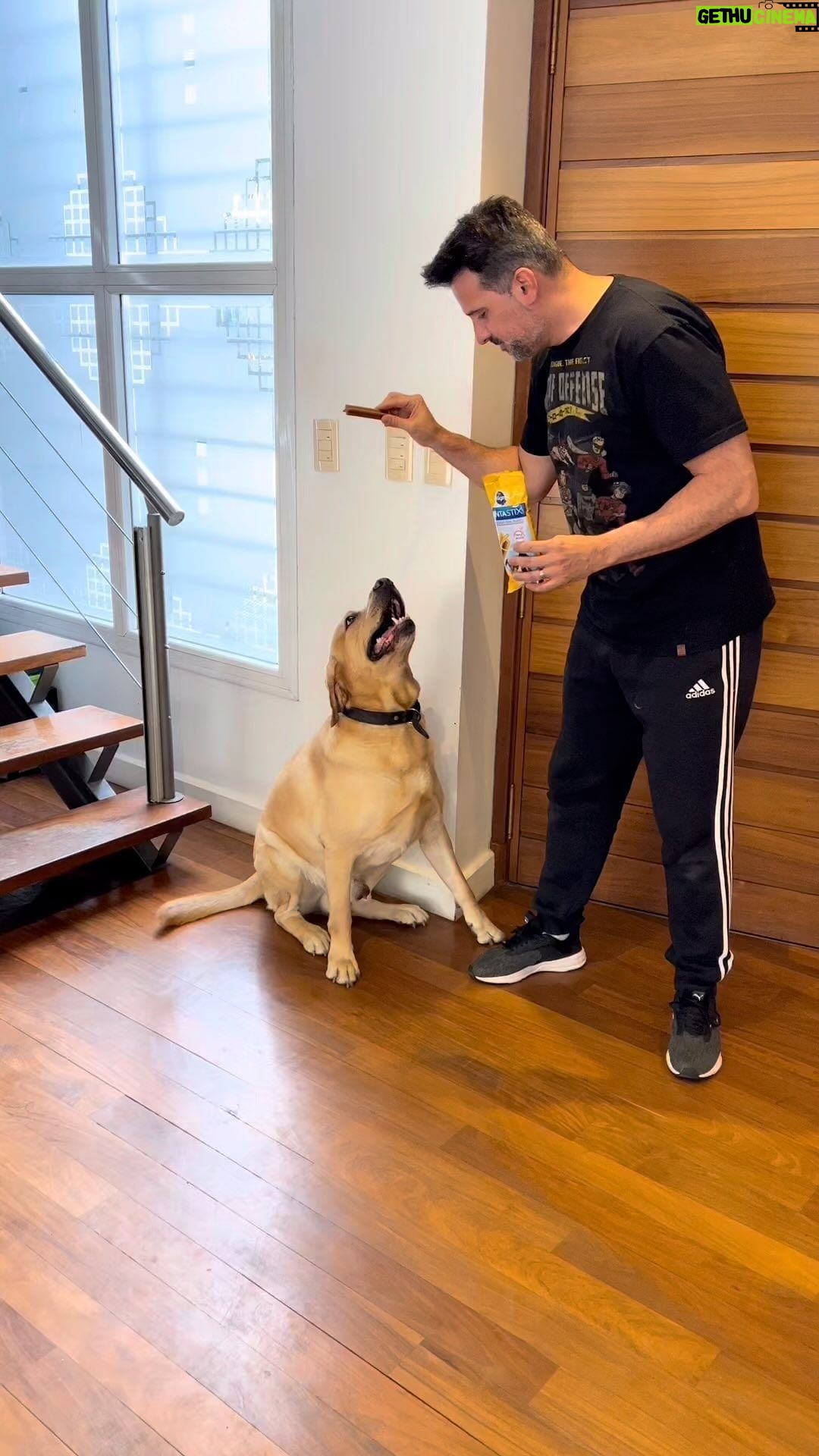 José María Listorti Instagram - Dentastix es el snack favorito de Martínez, es recomendable darle 1 por día. No solo ayuda a reducir el sarro hasta un 80%, sino que también mantiene sus encías saludables. Nosotros los cuidamos y ellos disfrutan! Súmate a este Challenge arrobando a @pedigreear y fijate si tu perro aguanta la tentación! #AlimentáloBueno #ChallengeDentastix