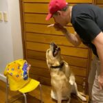 José María Listorti Instagram - No es mágico, es #Dentastix . Ahora cuidar la salud oral de tu perro es muy fácil y les encanta.Participá del sorteo de Pedigree siguiendo los pasos que dejo abajo y ganá 5 meses de #Dentastix para el tuyo. Pasos para participar 👇: 1. Seguir a @pedigreear 2. Seguirme a mi 3. Comentá con un 💛 junto al nombre de tu perro/a. Atentos que voy a anunciar a los ganadores por historias!