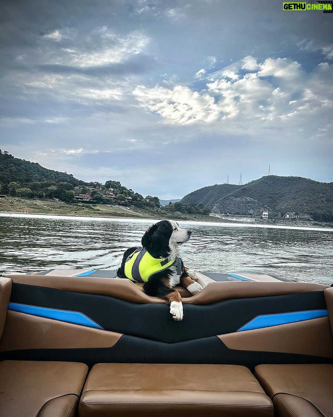 José Ron Instagram - Creemos que la felicidad está en el futuro y nos olvidamos de vivir el presente 🐶❤️
